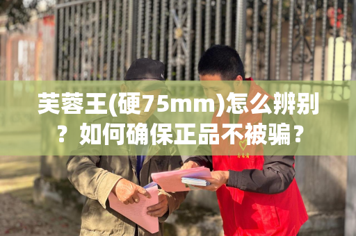 芙蓉王(硬75mm)怎么辨别？如何确保正品不被骗？